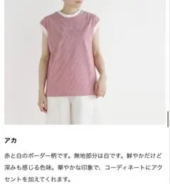 nofl カットソー　ボーダーのサムネイル