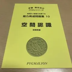 ピグマリオン 問題集 空間認識