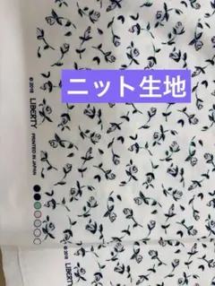 LIBERTY フローティングフローラ　ニット生地