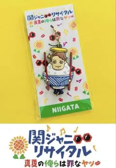 2026年最新】関ジャニ∞リサイタルご当地ストラップの人気アイテム