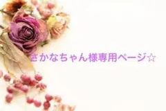 さかなちゃん様 リクエスト 2点 まとめ商品
