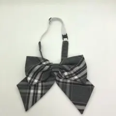 Item thumbnail for item 9da41fd2-2ef9-4b59-b4f7-c52be13e60e1