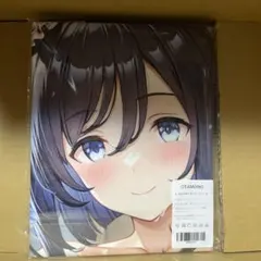 エイシンフラッシュ　シークレット萌えタオル