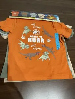 恐竜柄の半袖Tシャツ4枚組サイズ　110
