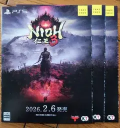 仁王3　カタログ　3部