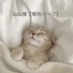 ねね様【おまとめ】