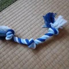 犬のおもちゃのサムネイル
