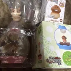 なめこ栽培キット テラリウム、なめころびやおき ぶちなめこ