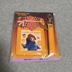 PADDINGTON IN PERU