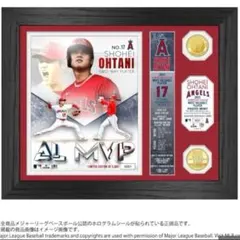 限定品　大谷翔平　WBC MVP ダブルフォトミント WBC日本代表優勝記念グッズ・大谷翔平選手 MVP獲得記念グッズJ