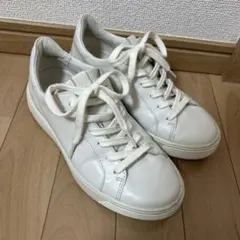 エコー　スニーカー　白　ホワイト　36 ストリート　トレイ W 23センチ　本革