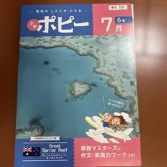 小学ポピー 7月号 6年生