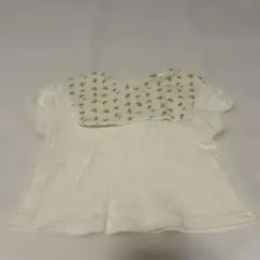 Item thumbnail for item a6b8c939-911a-498d-8bb8-0101dfe7220f