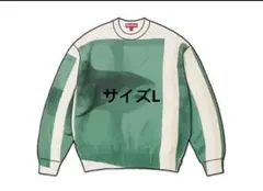 シュプリーム × ダミアン・ハースト ニット Mサイズ 男女兼用 Supreme / Damien Hirst Sweater 25ss week1 シュプリーム ダミアン