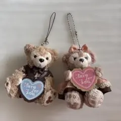 ダッフィー シェリーメイ ぬいぐるみバッジ Here for You