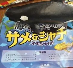 最強リアル 海のいきもの サメ&シャチ　シャチ