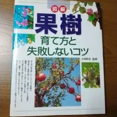 〈図解〉果樹 育て方と失敗しないコツ