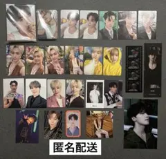 SEVENTEEN ディノ　CARAT盤　4カット　トレカ19枚まとめ売り