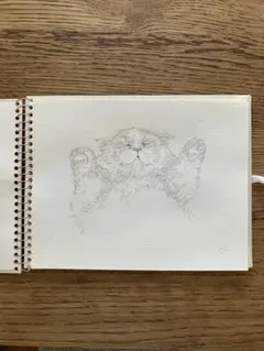 原画一点もの！猫爆睡イラスト