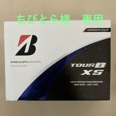 24_TOUR_B_XS コーポレートカラー