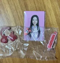 TWICE LOVELYS アクリルカラビナフロッキー マスコットチェヨンセット