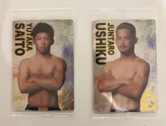 Item thumbnail for item a7c79ce8-fef7-44a0-9c6f-5d97587d5aa1