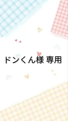 ドンくん様 リクエスト 2点 まとめ商品