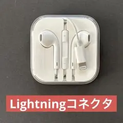 Apple EarPods with Lightning Connector