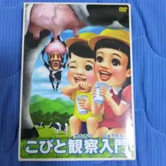 こびとづかん DVDこびと観察入門 シボリケダマBOX 2枚組