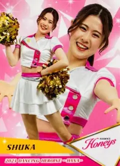 Item thumbnail for item 97b21094-5ff3-4308-a68c-56025a67190e