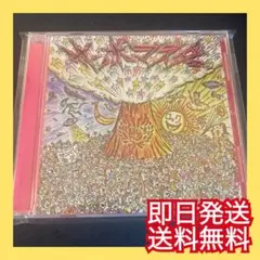 ◎即日発送◎サンボマスター『終わらないミラクルの予感アルバム』結婚式BGM