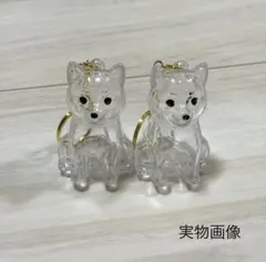 Item thumbnail for item c36fb062-78b2-4f76-b7f6-000ff0c28215