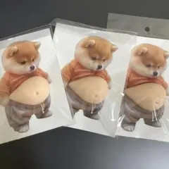 【訳あり】柴犬 お腹 ぷにぷにシール3枚セット