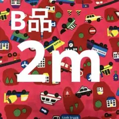 プリント生地2m