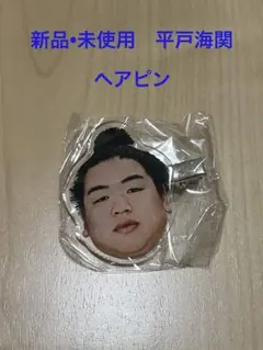 大相撲ガチャ　平戸海関　ヘアピン
