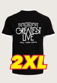 【新品タグ付】 リップスライム x アディダス Tシャツ ブラック