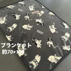 ★新品★ フレンチブルドッグ　ブランケット　ペット毛布 約70×100 グレー