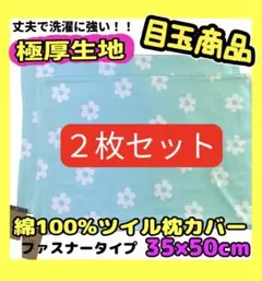 Item thumbnail for item 8ad8fb1f-9d59-488e-8635-9c9711490c5f