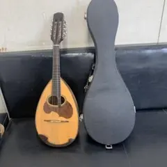 2025年最新】suzuki マンドリンの人気アイテム - メルカリ