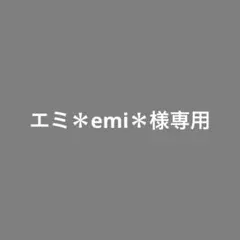 エミ＊emi＊様専用
