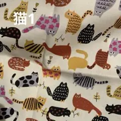 布、生地セット 5点 おまけ2点付き