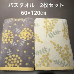 Item thumbnail for item 769435be-8022-4668-900b-7821e6d3a747