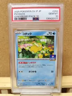 【PSA10】コダック　ジムプロモ　262/SV-P