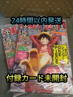 【二冊セット】ワンピースマガジン Vol.20 付録カード未開封