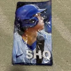 大谷翔平 スノードーム(非売品) - メルカリ
