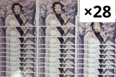 胡蝶しのぶ 追憶ブロマイド 28枚セット