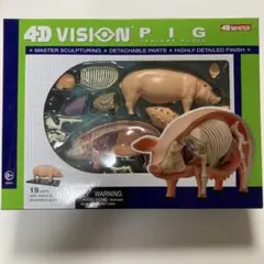 Item thumbnail for item 41f2dc82-71dd-4fca-9322-a453ee21fcf1