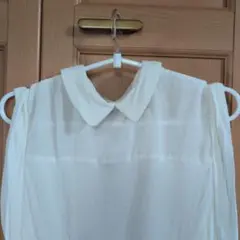 Item thumbnail for item 4cc6c882-0cef-4bda-8438-f35992a7504d