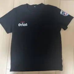 Item thumbnail for item 94bf192e-48f6-4ddb-81cd-e2564fb2a40b