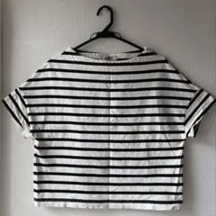 ナノユニバース　ボーダークロップド半袖Tシャツ